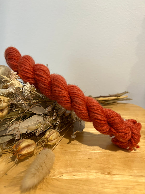 Carrot 20g - 8ply - Polwarth Non-Super Wash
