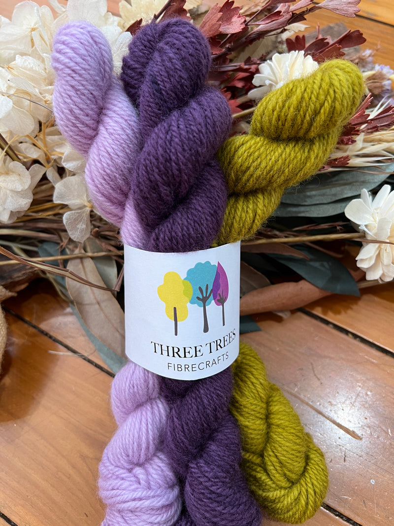 Polwarth Minis (3 pack)