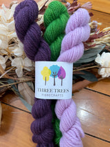 Polwarth Minis (3 pack)