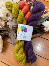 Polwarth Minis (3 pack)