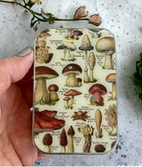 Notions Tin - Large (Randomly Selected)