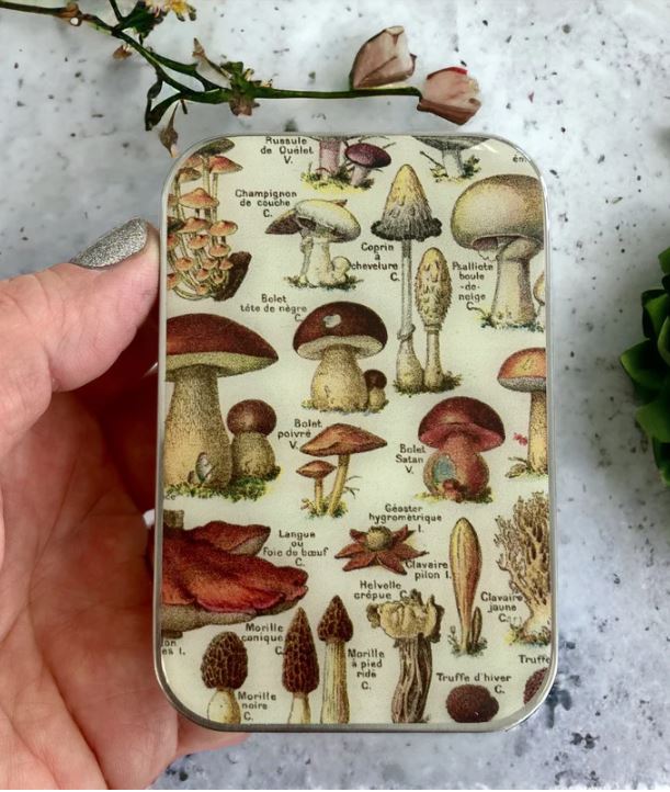 Notions Tin - Large (Randomly Selected)