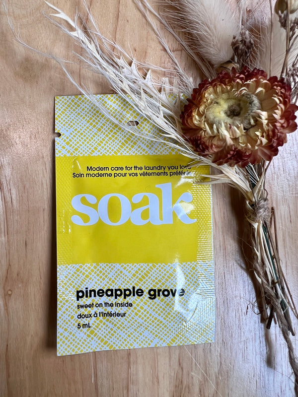 Mini Soak Sachet Pineapple Grove